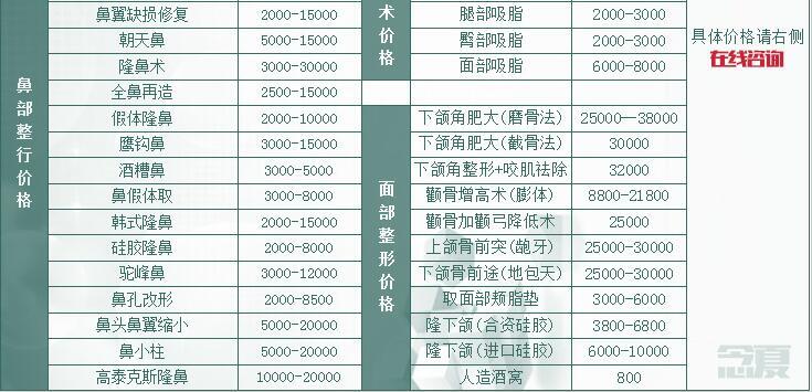 上海九院的整形价格表