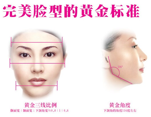 下颌角的美学标准
