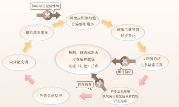 痤疮缓解的全新技术-纳米微针
