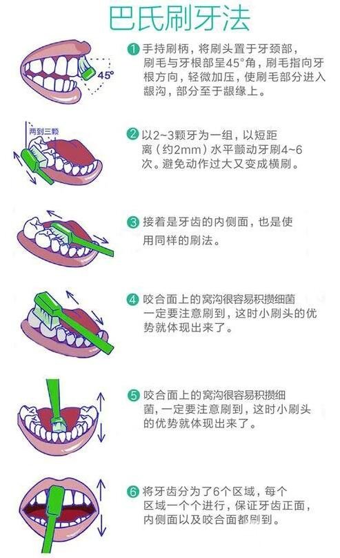 刷牙方法步骤图