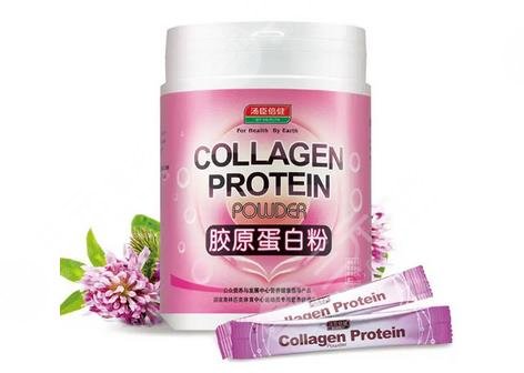 汤臣倍健蛋白粉