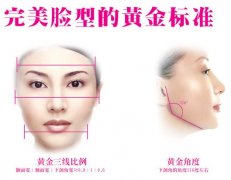 下颌角的美学标准