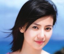 隆胸假体的历史梗概