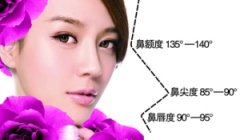 <b>暑期隆鼻   特价优惠了  {脸部一枝花，全靠鼻当家}</b>