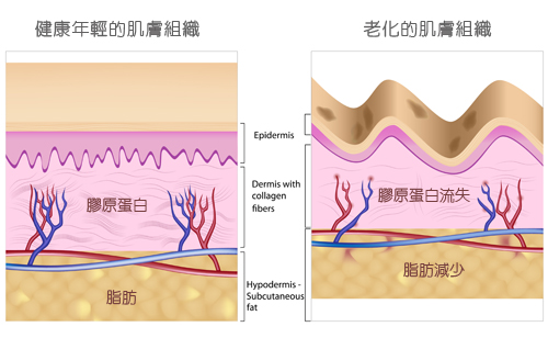 怎么样才能减少抬头纹 去除抬头纹喜欢的方法