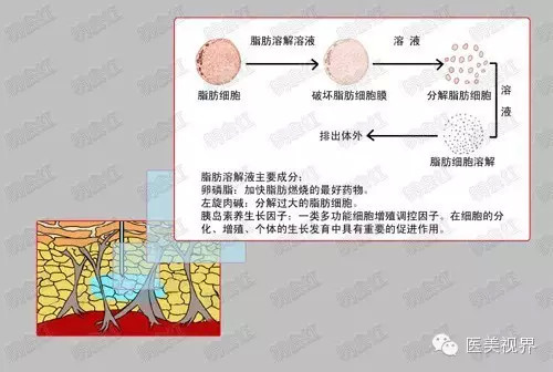 杭州时光整形医院瘦脸手术需要多少钱?好不好?