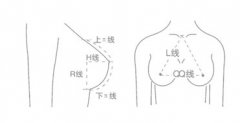 如何让自己乳房变大 怎样才能让胸部变大