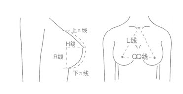 如何让自己乳房变大 怎样才能让胸部变大
