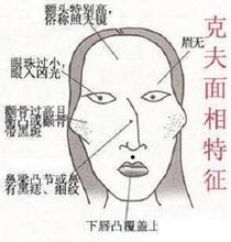 女生颧骨高好看吗 颧骨高的女明星有哪些