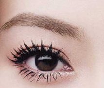 为什么会掉眉毛 掉眉毛的原因