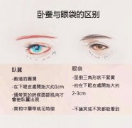 卧蚕和眼袋怎么来区别 卧蚕和眼袋怎么来区别