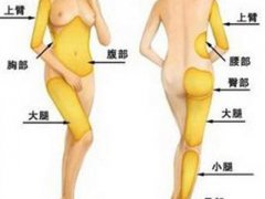 大腿吸脂的价格是多少了