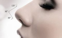 耳软骨垫鼻尖大概多少钱