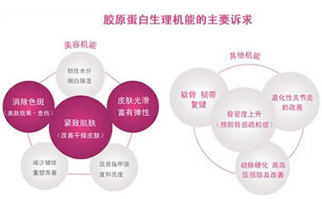 什么是胶原蛋白,胶原蛋白的作用