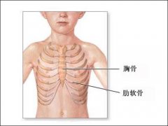 郑州缓解胸骨裂多少钱