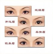 北京绣眼线多少钱