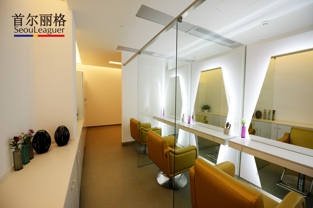 【上海首尔丽格医疗美容医院整形价格表2017】