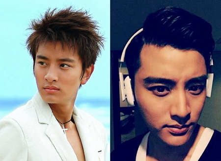 贾乃亮整容前后照片对比