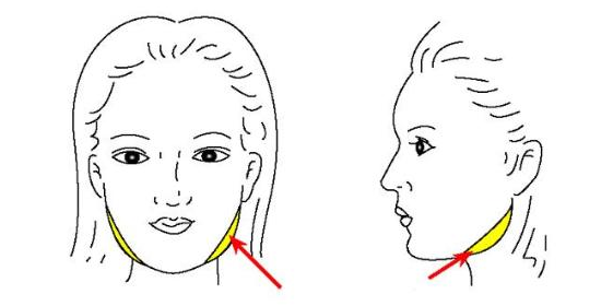 上海华美医疗美容医院价目表全新预览
