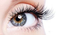 成都种植睫毛大概要多少钱|种睫毛价格？