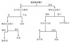 中山爱思特祛斑果怎么样？价格是多少？