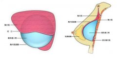 嘉兴隆胸价格是多少 隆胸有的方法 嘉兴隆胸价格是多少 隆胸有的方法
