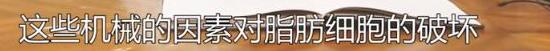 自体脂肪的成活率与哪些因素有关