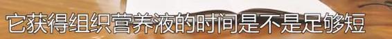 自体脂肪的成活率与哪些因素有关
