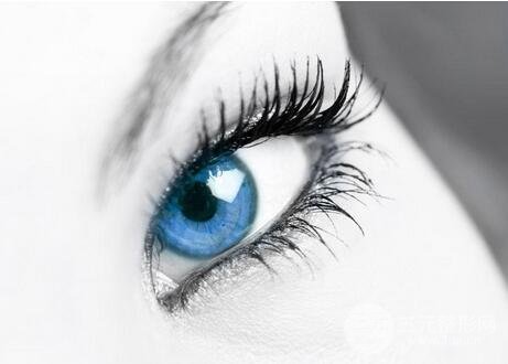 种睫毛要多少钱|种睫毛和接睫毛的区别是什么