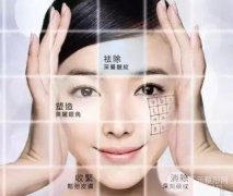 电波l皮果怎么样 电波l皮果怎么样