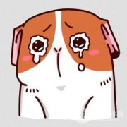 哪里做光子嫩肤好？上海艺星真人案例体验图片