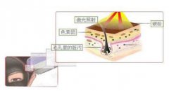 成都镭射黑脸娃娃多少钱?价格多少?