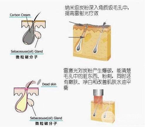 黑脸娃娃成好吗|有哪些果?