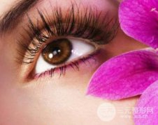 立体绣眉多少钱?价格贵不贵? 立体绣眉多少钱?价格贵不贵?