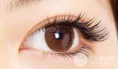 孕睫术要多少钱