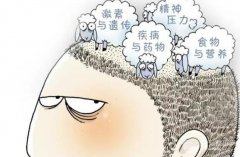 毛囊可以移植别人的吗? 毛囊可以移植别人的吗?