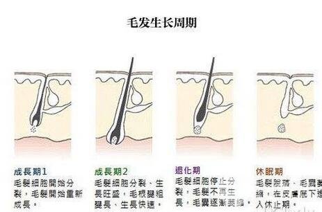 天津冰点e光脱毛价格大概多少？比北上广低吗？