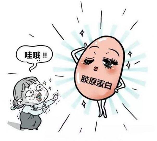 胶原蛋白