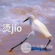 重庆艺星整形美容医院优惠活动来袭！是时候和夏天算笔账了！