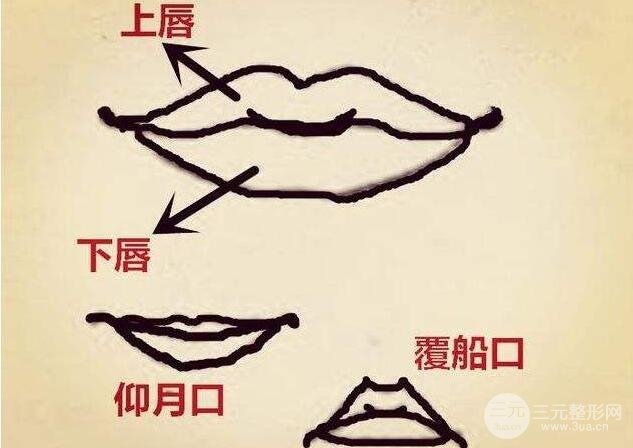 仰月唇是哪种仰月唇到底好看吗