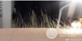 常州施尔美