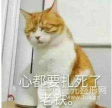 中秋整形活动