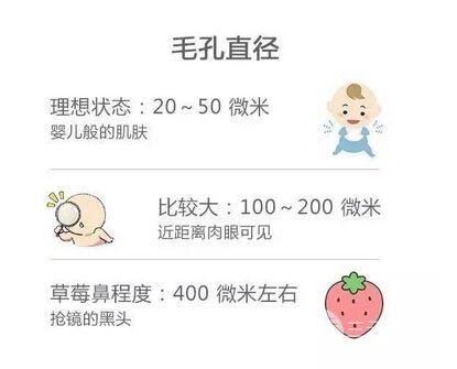 如何收缩脸部毛孔