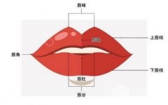 成都玻尿酸丰唇需要多少钱 附2020年版价码表 成都玻尿酸丰唇需要多少钱 附2020年版价码表