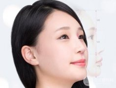 鼻部整形术有哪些 三元网为您介绍 鼻部整形术有哪些 三元网为您介绍