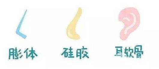 鼻假体取出