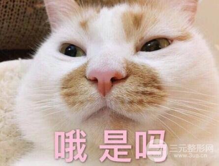 注射瘦腿的价格是多少?价格贵吗瘦腿价格