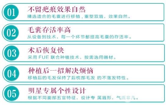 植眉手术优点