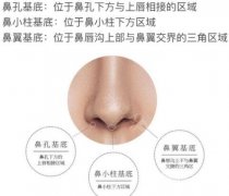 垫鼻基底的3大材料,你对哪个更感兴趣~ 垫鼻基底的3大材料,你对哪个更感兴趣~