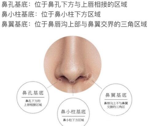 垫鼻基底的3大材料,你对哪个更感兴趣~